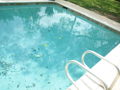 pool with leaves